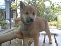 �N���b�N�ŏڍ׃y�[�W��